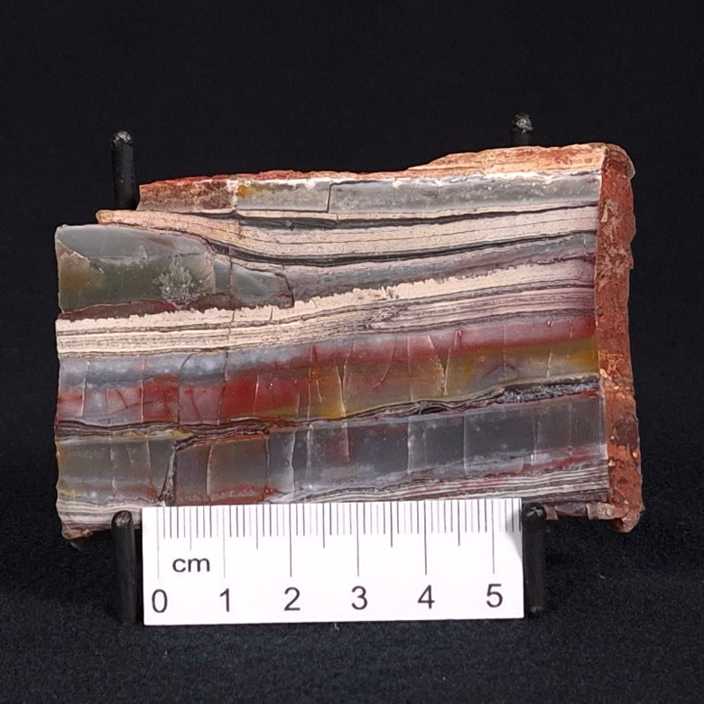 STROMATOLITE, Jerrinah Formation, Proterozoic, Australia ZJF026