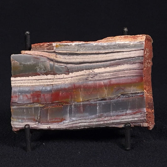 STROMATOLITE, Jerrinah Formation, Proterozoic, Australia ZJF026