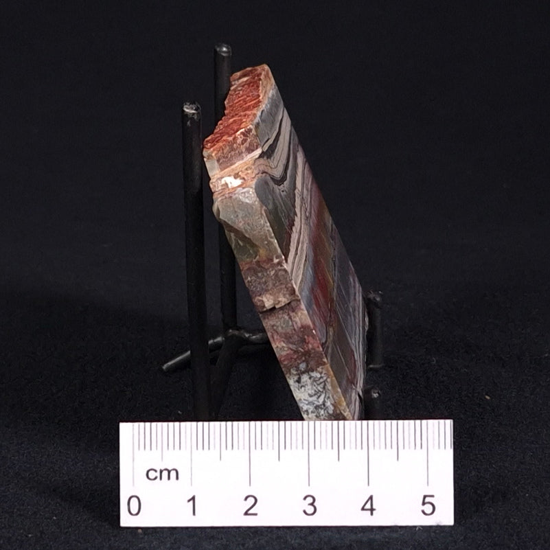 STROMATOLITE, Jerrinah Formation, Proterozoic, Australia ZJF026