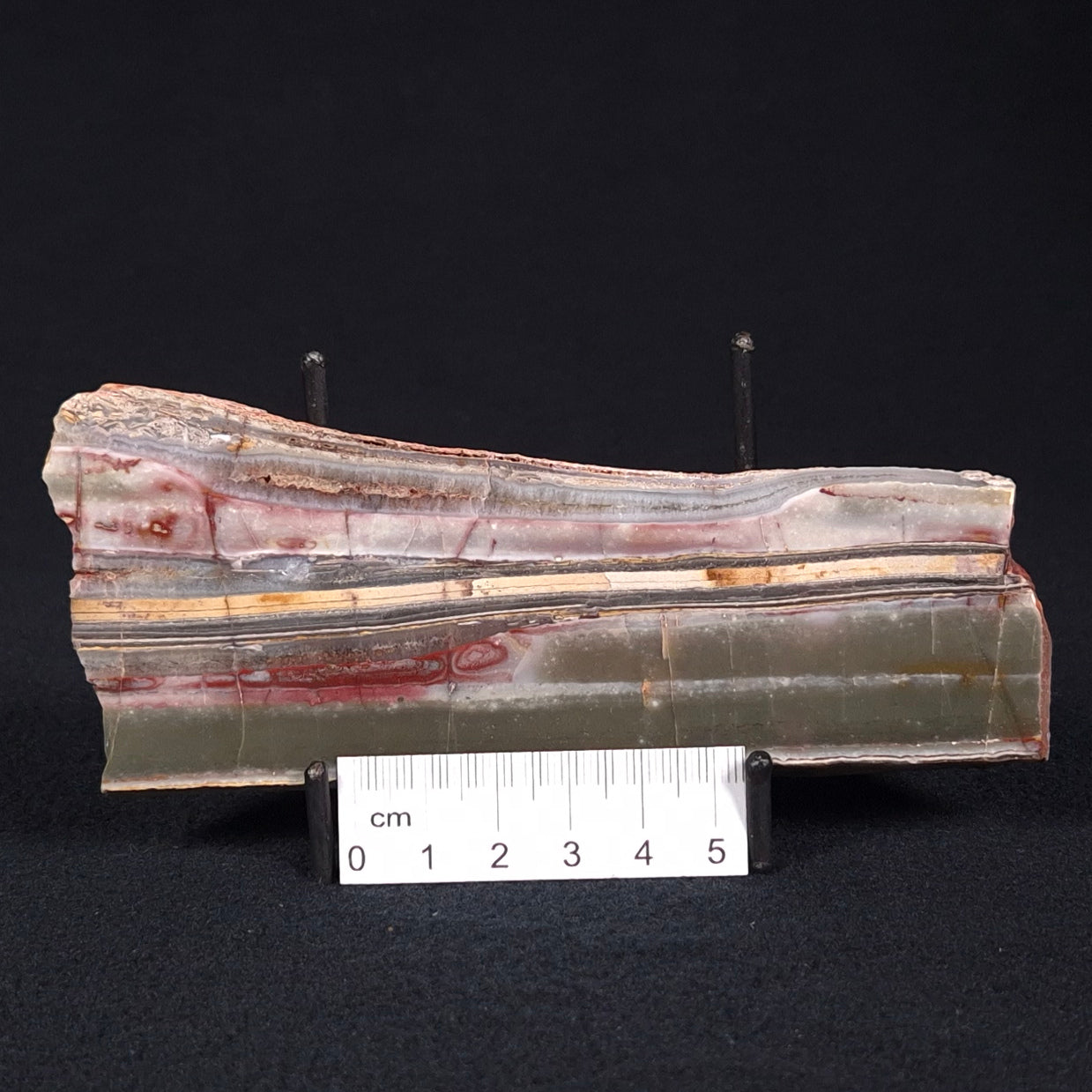 STROMATOLITE, Jerrinah Formation, Proterozoic, Australia ZJF025