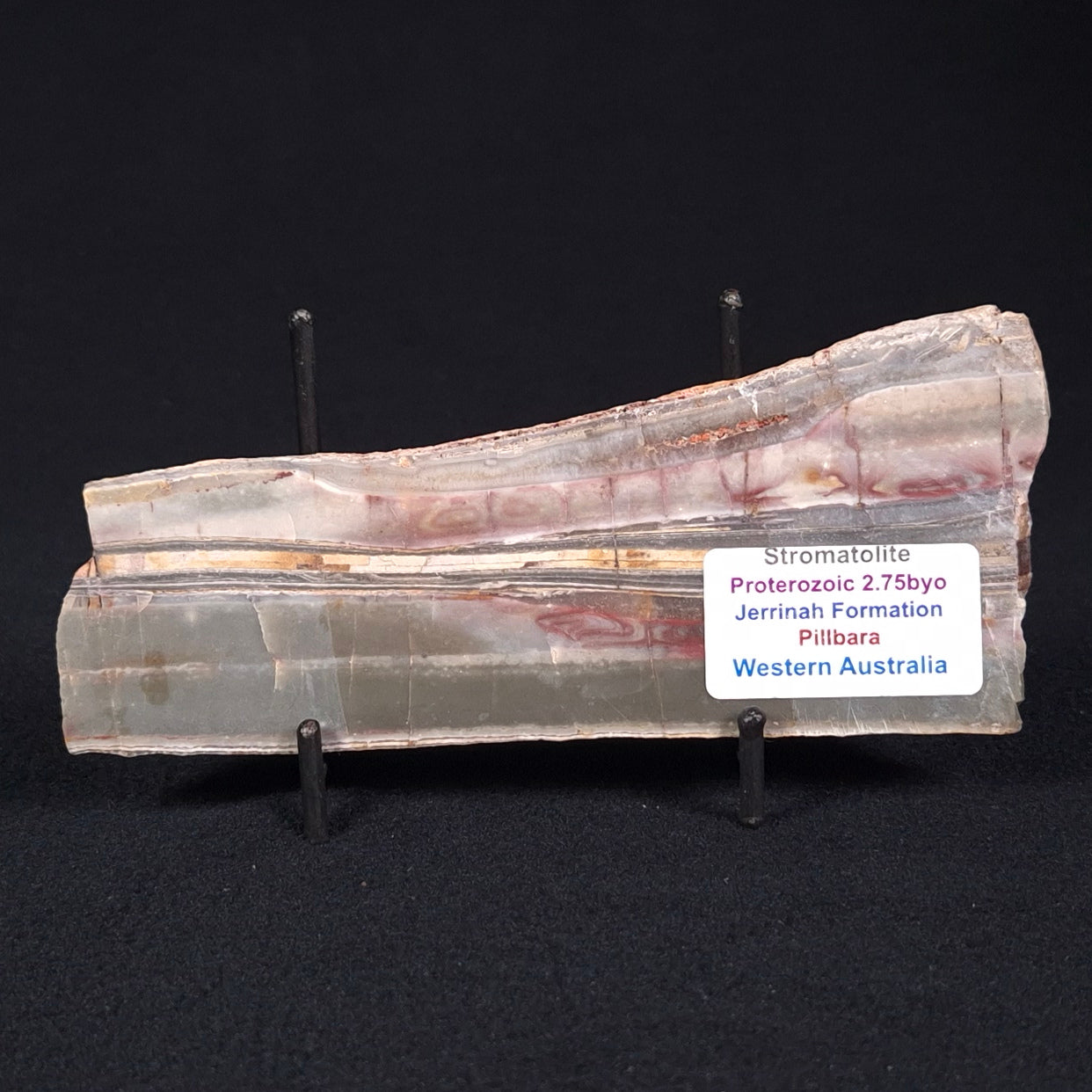 STROMATOLITE, Jerrinah Formation, Proterozoic, Australia ZJF025