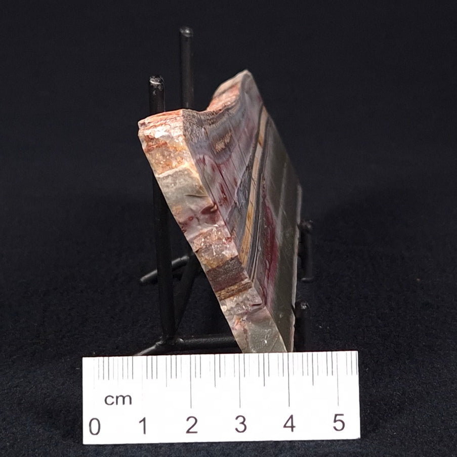 STROMATOLITE, Jerrinah Formation, Proterozoic, Australia ZJF025