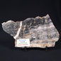 STROMATOLITE, Lower Proterozoic, Australia ZMG012
