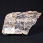 STROMATOLITE, Lower Proterozoic, Australia ZMG016