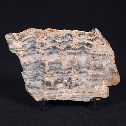 STROMATOLITE, Lower Proterozoic, Australia ZMG017