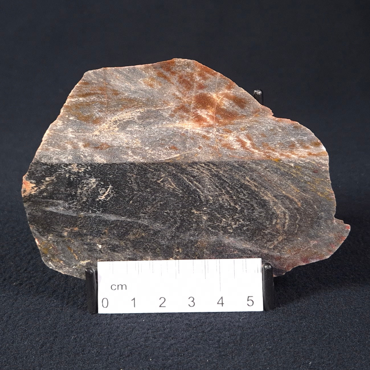 STROMATOLITE, Archean, Australia ZSL007