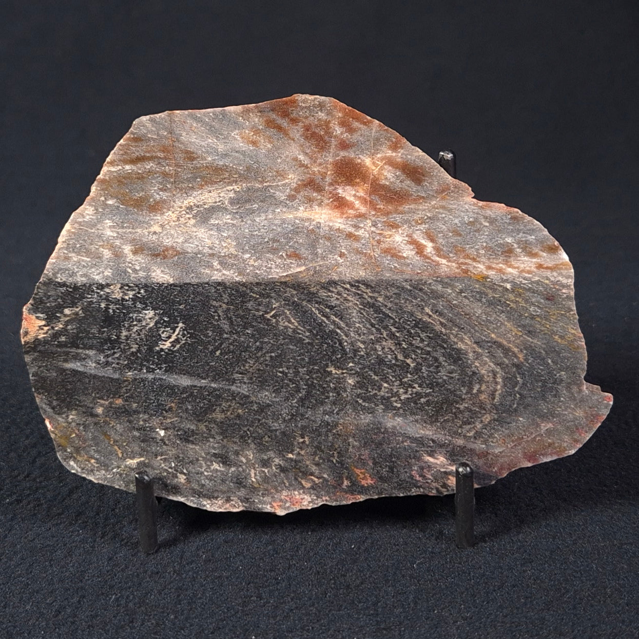 STROMATOLITE, Archean, Australia ZSL007