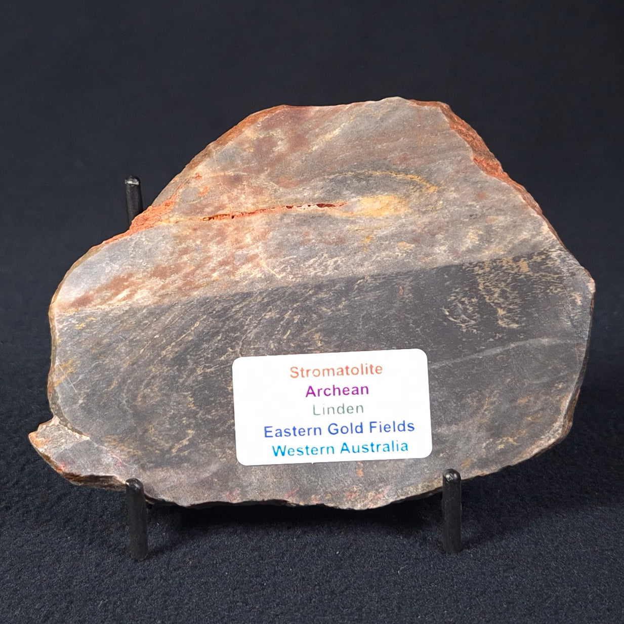 STROMATOLITE, Archean, Australia ZSL007