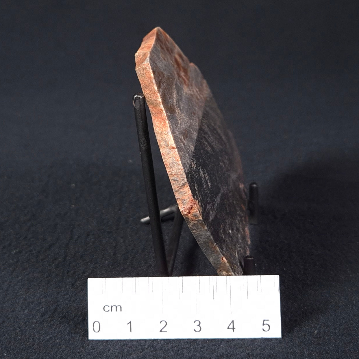 STROMATOLITE, Archean, Australia ZSL007