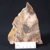 STROMATOLITE, Archean, Australia ZSL008