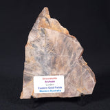 STROMATOLITE, Archean, Australia ZSL008