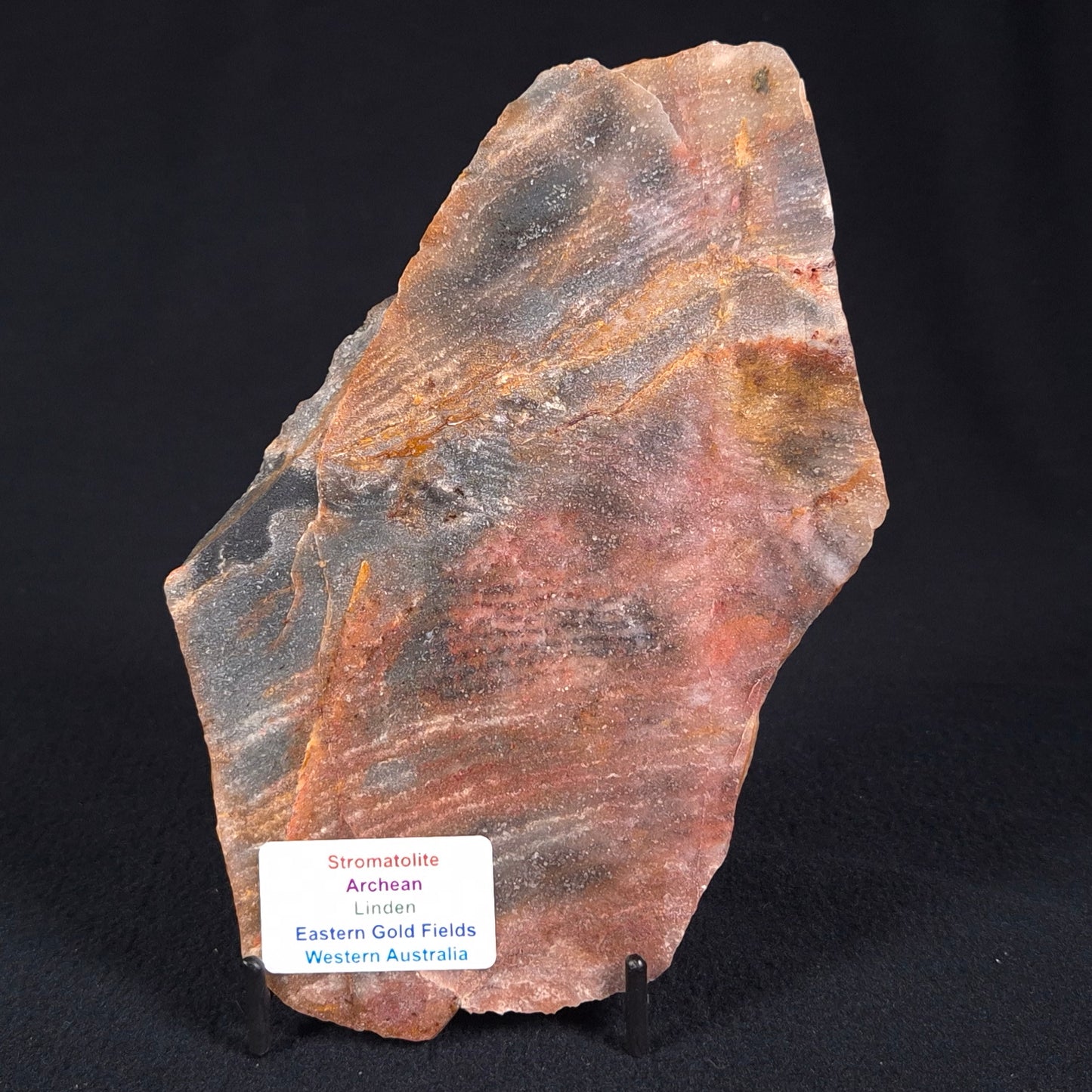 STROMATOLITE, Archean, Australia ZSL011
