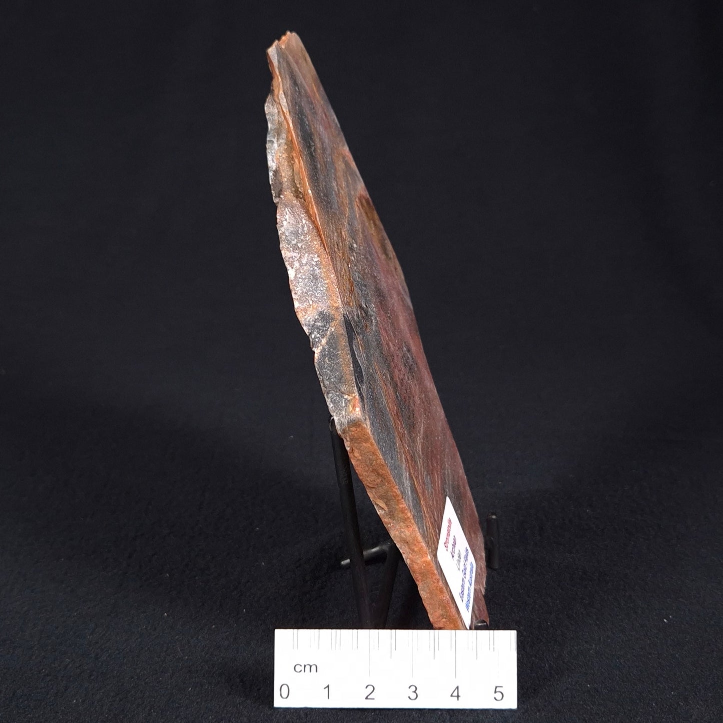 STROMATOLITE, Archean, Australia ZSL011