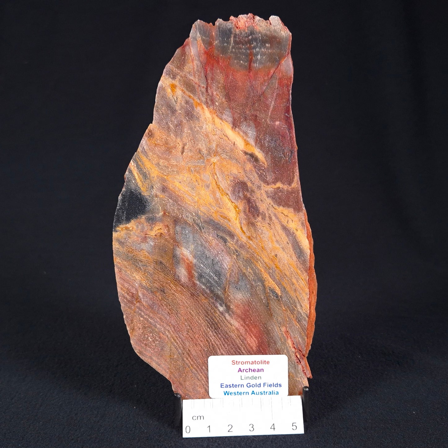 STROMATOLITE, Archean, Australia ZSL012