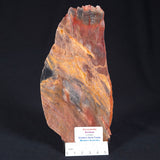 STROMATOLITE, Archean, Australia ZSL012