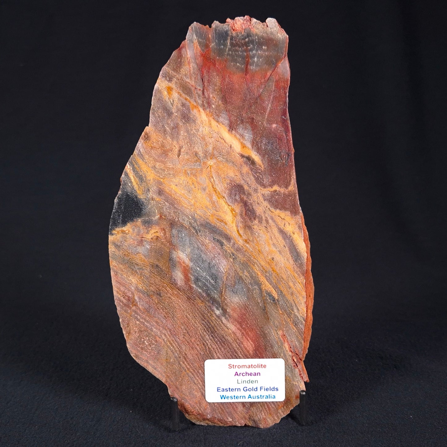 STROMATOLITE, Archean, Australia ZSL012