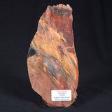 STROMATOLITE, Archean, Australia ZSL012
