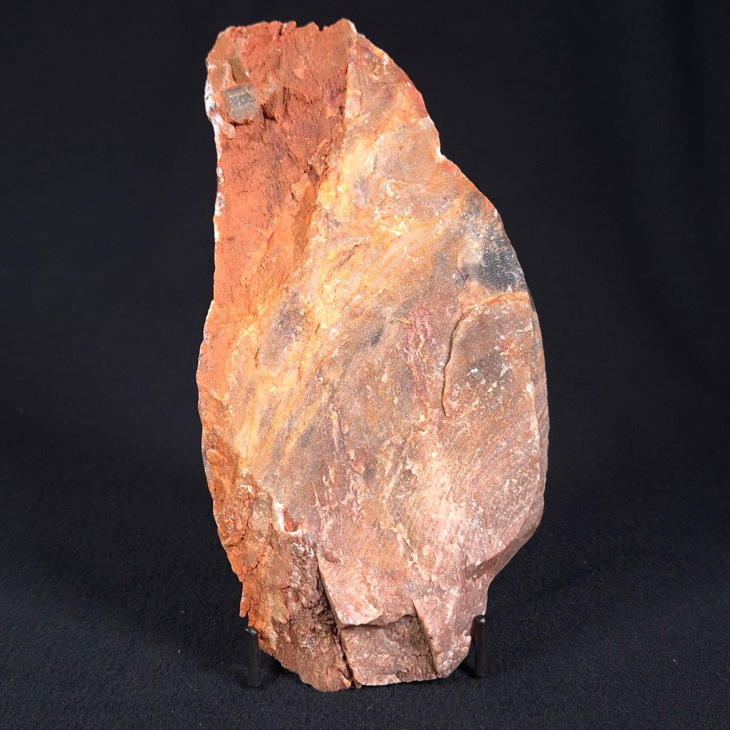 STROMATOLITE, Archean, Australia ZSL012