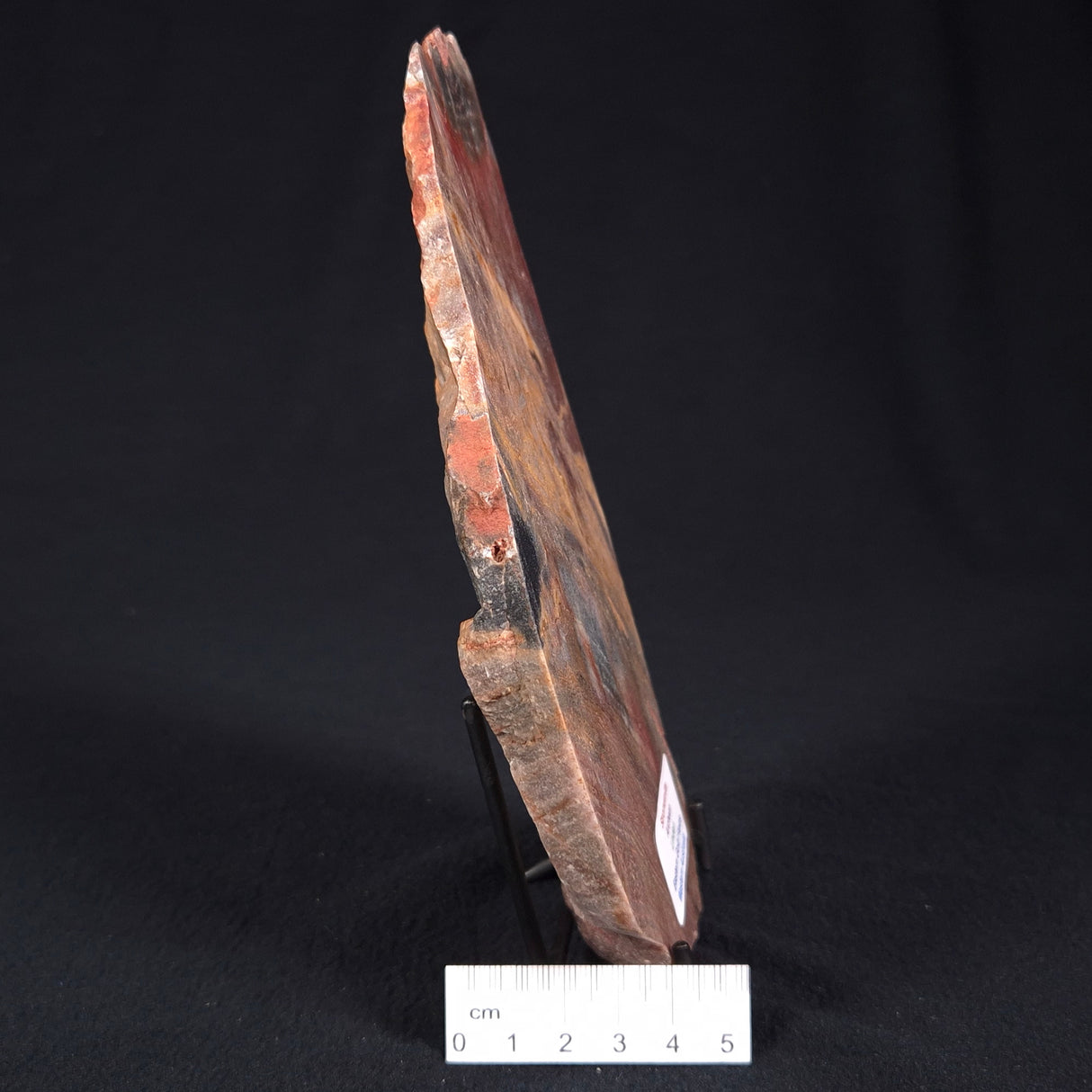 STROMATOLITE, Archean, Australia ZSL012