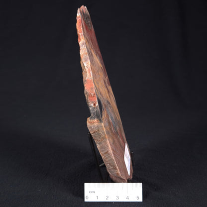 STROMATOLITE, Archean, Australia ZSL012