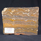 STROMATOLITE, Duck Creek, Lower Proterozoic, Australia ZDC001