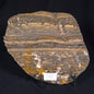 STROMATOLITE, Duck Creek, Lower Proterozoic, Australia ZDC002