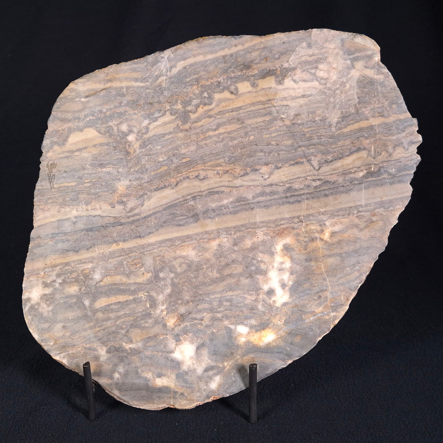 STROMATOLITE, Duck Creek, Lower Proterozoic, Australia ZDC002