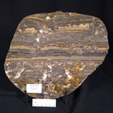 STROMATOLITE, Duck Creek, Lower Proterozoic, Australia ZDC003