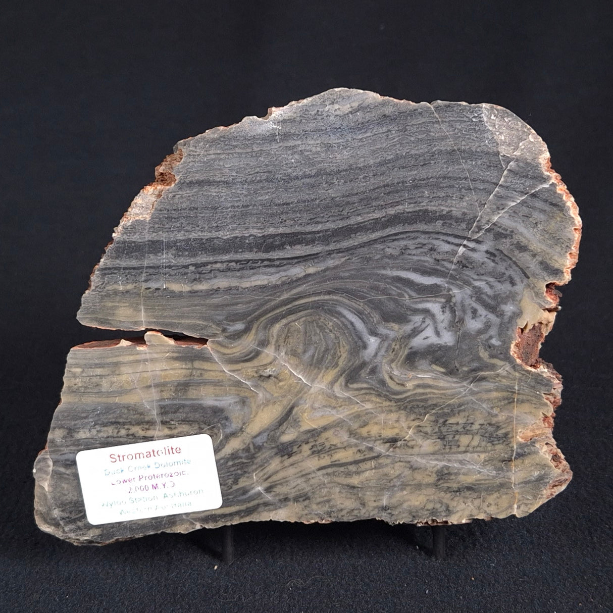 STROMATOLITE, Duck Creek, Lower Proterozoic, Australia ZDC004