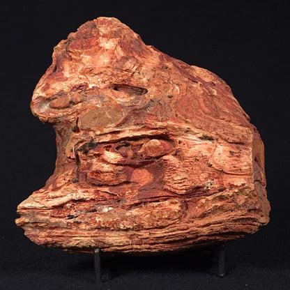 CAMOOWEAL DOLOSTONE CHERT MICROBIAL, Middle Cambrian, Australia ZCD006