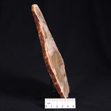 CAMOOWEAL DOLOSTONE CHERT MICROBIAL, Middle Cambrian, Australia ZCD008