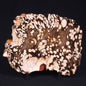 PEANUT WOOD PETRIFIED WOOD, Cretaceous, Australia ZPW001