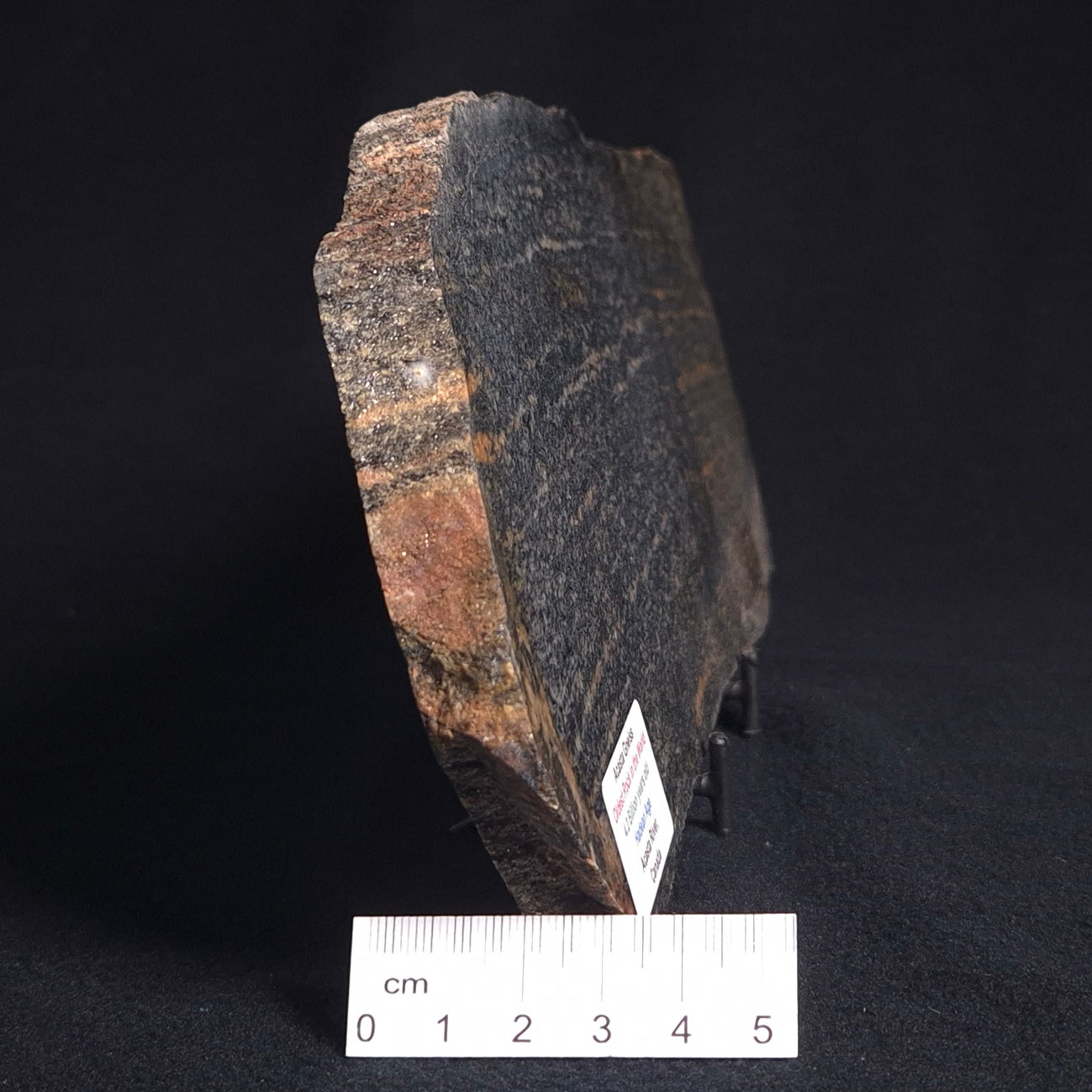 ACASTA GNEISS "OLDEST ROCK IN THE WORLD", Late Hadean, Canada ZAG020