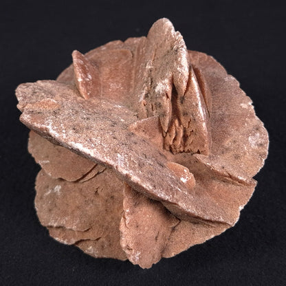 DESERT ROSE GYPSUM, Morocco XDR009