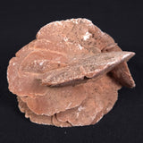 DESERT ROSE GYPSUM, Morocco XDR009