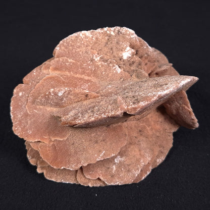 DESERT ROSE GYPSUM, Morocco XDR009