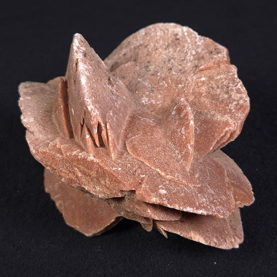 DESERT ROSE GYPSUM, Morocco XDR009