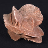 DESERT ROSE GYPSUM, Morocco XDR009