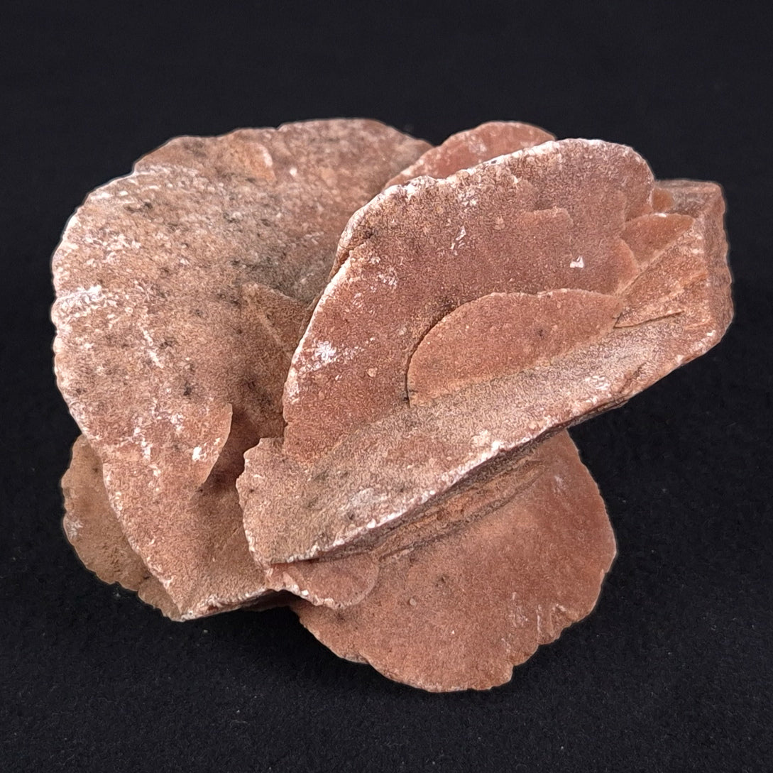 DESERT ROSE GYPSUM, Morocco XDR009