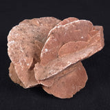 DESERT ROSE GYPSUM, Morocco XDR009