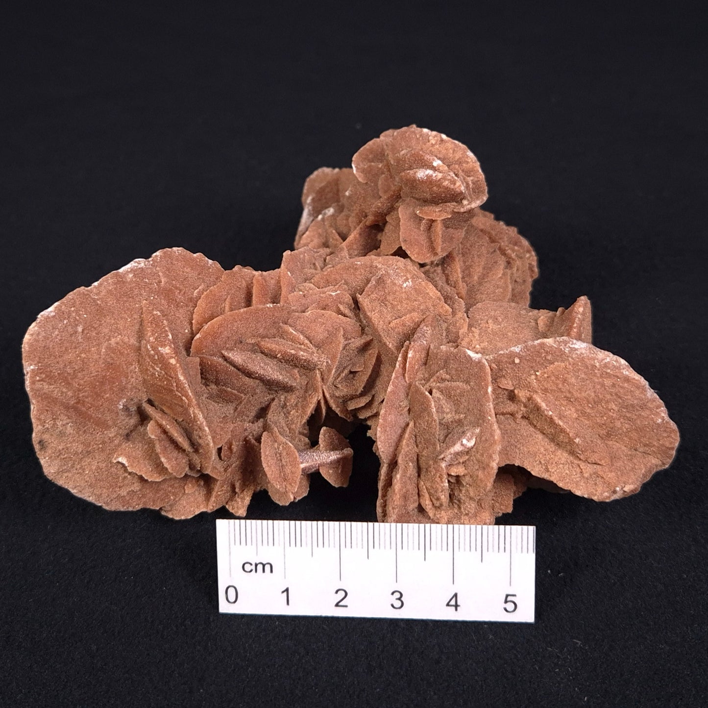 DESERT ROSE GYPSUM, Morocco XDR010
