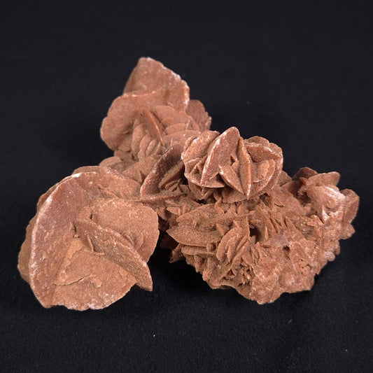DESERT ROSE GYPSUM, Morocco XDR010