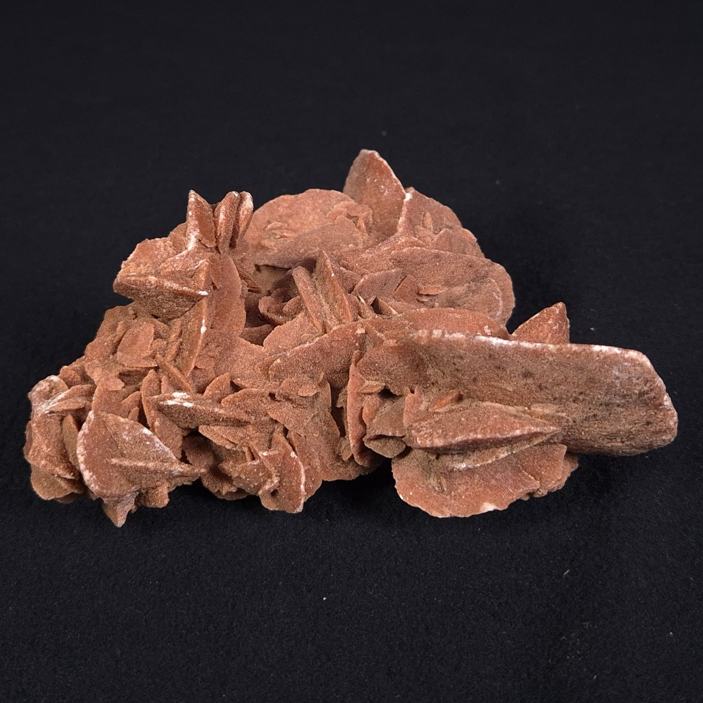 DESERT ROSE GYPSUM, Morocco XDR010