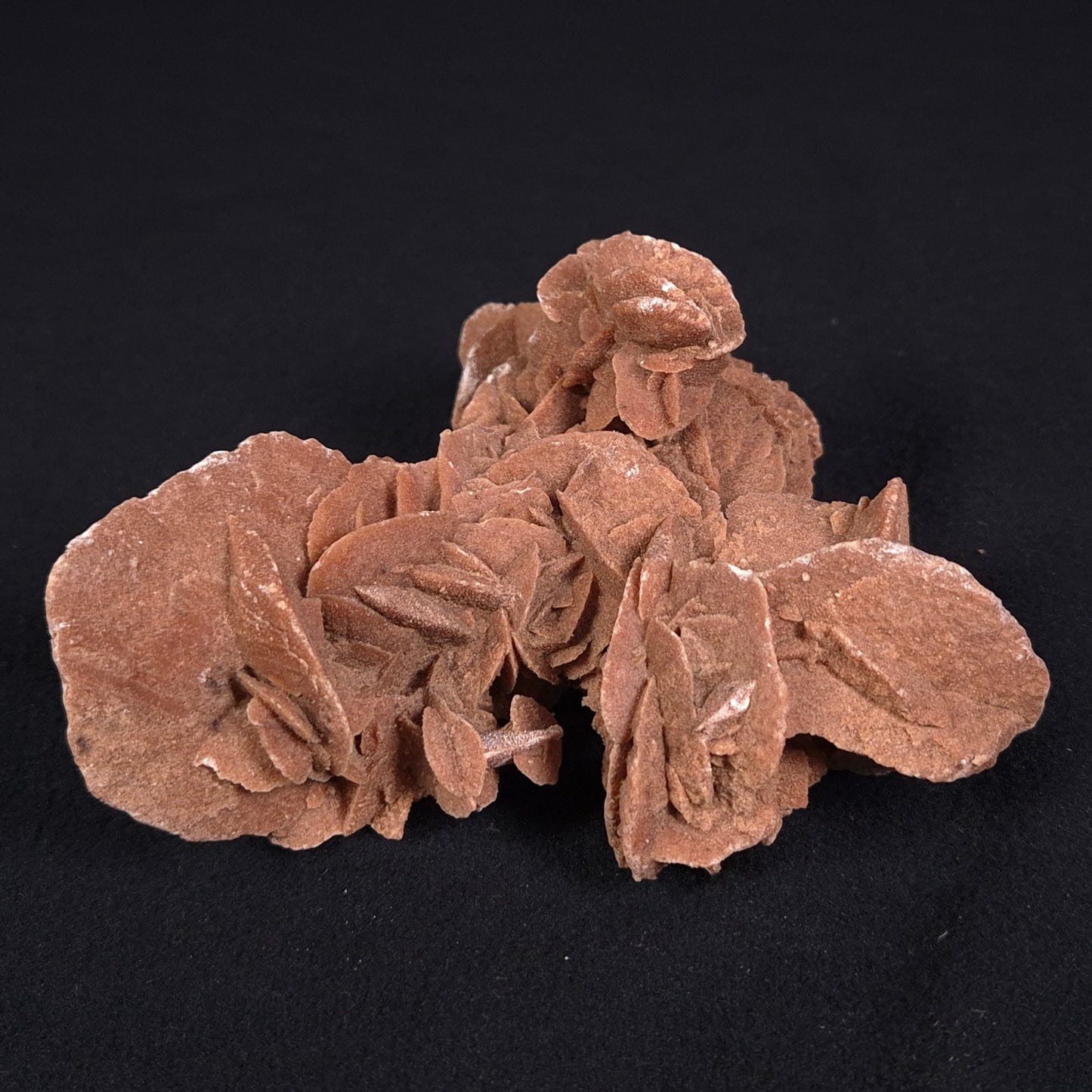 DESERT ROSE GYPSUM, Morocco XDR010