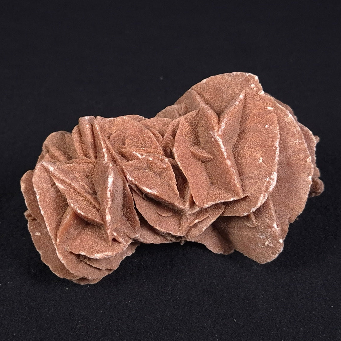 DESERT ROSE GYPSUM, Morocco XDR008