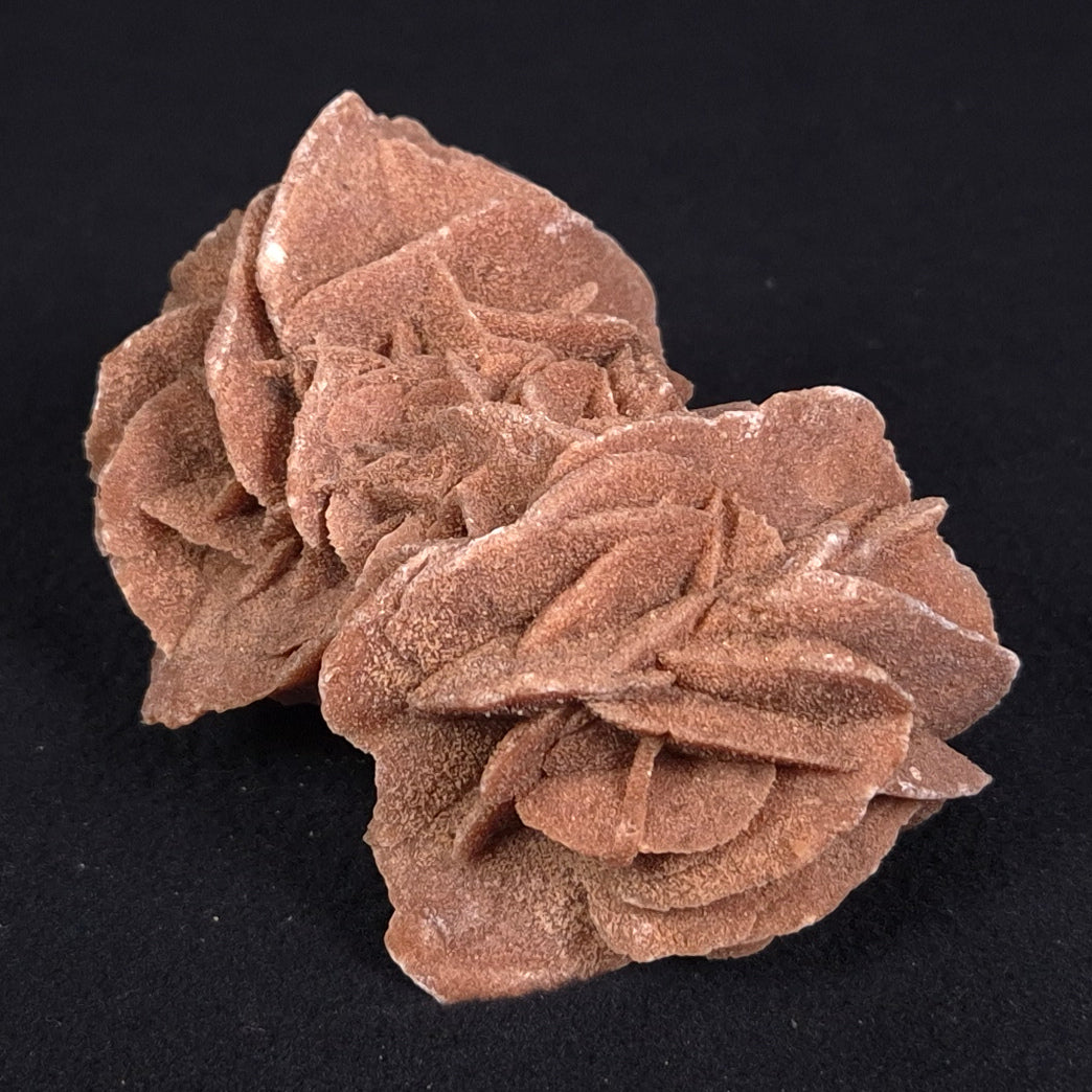DESERT ROSE GYPSUM, Morocco XDR008