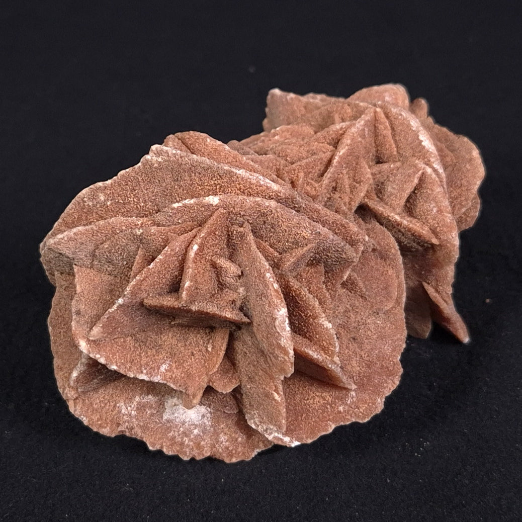 DESERT ROSE GYPSUM, Morocco XDR008