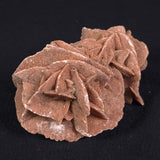 DESERT ROSE GYPSUM, Morocco XDR008
