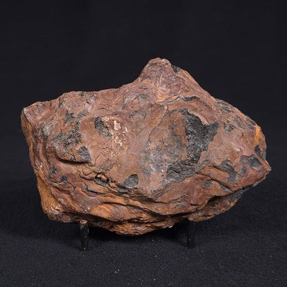 STROMATOLITE, Parda Formation, Early Cretaceous (Aptian), Australia ZPF008