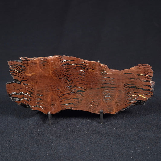 STROMATOLITE, Parda Formation, Early Cretaceous (Aptian), Australia ZPF009